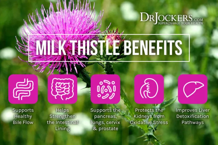 31458 milk thistle supplement capsules