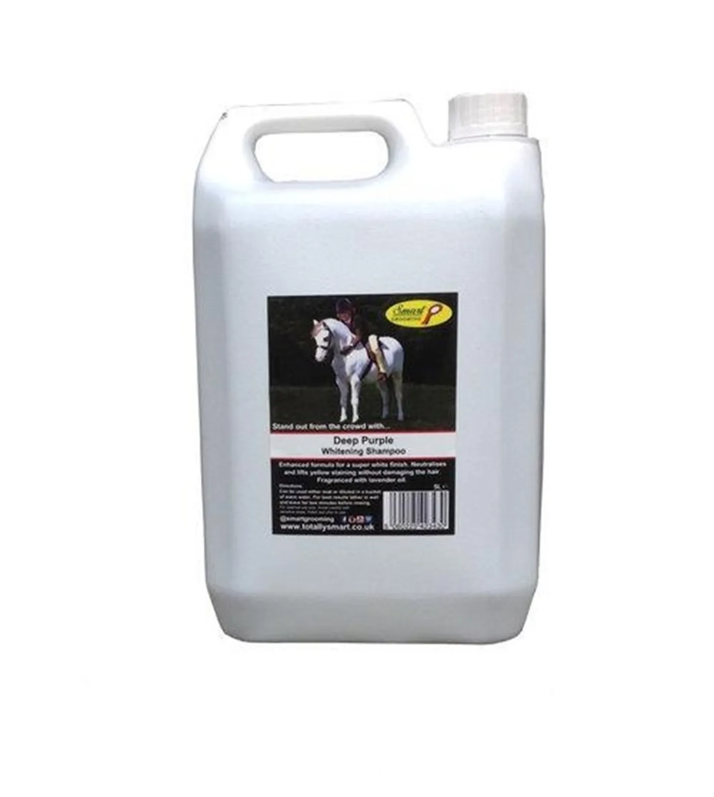 31491 hair gloss application