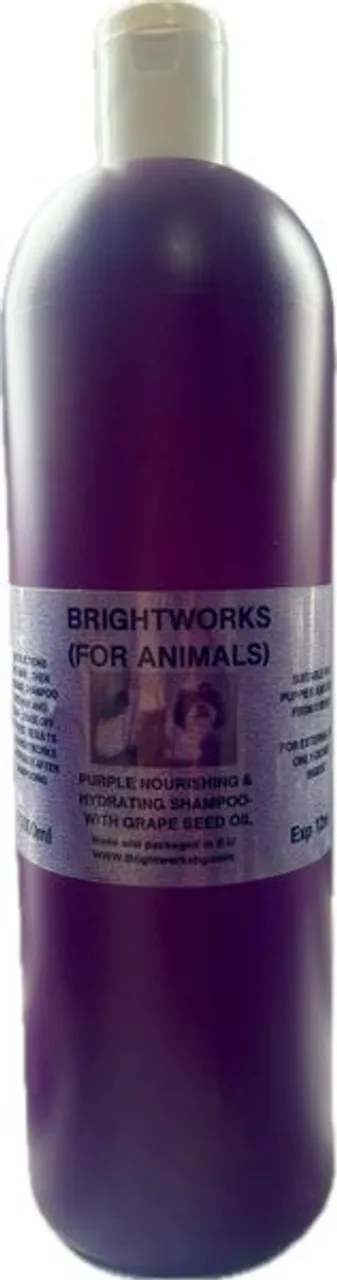 31491 silver hair deep purple shampoo