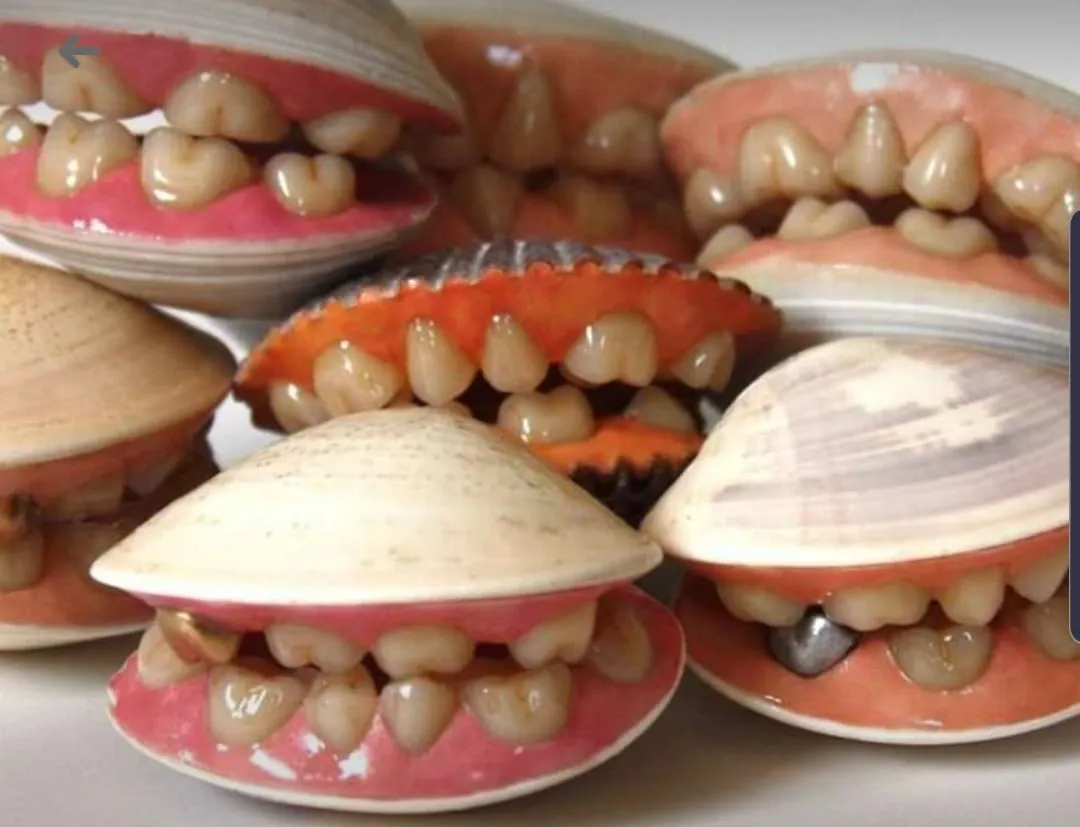 31553 teeth whitening targeting