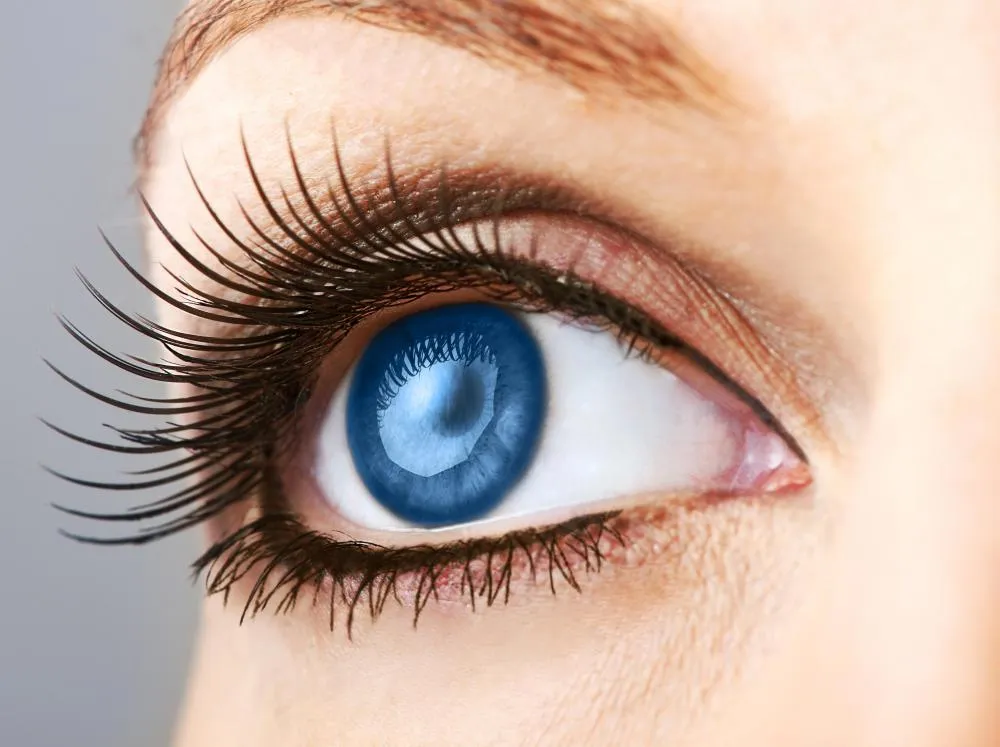 31640 eye drops types