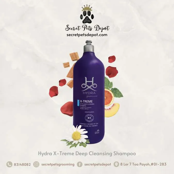 31661 hydra whitening shampoo application