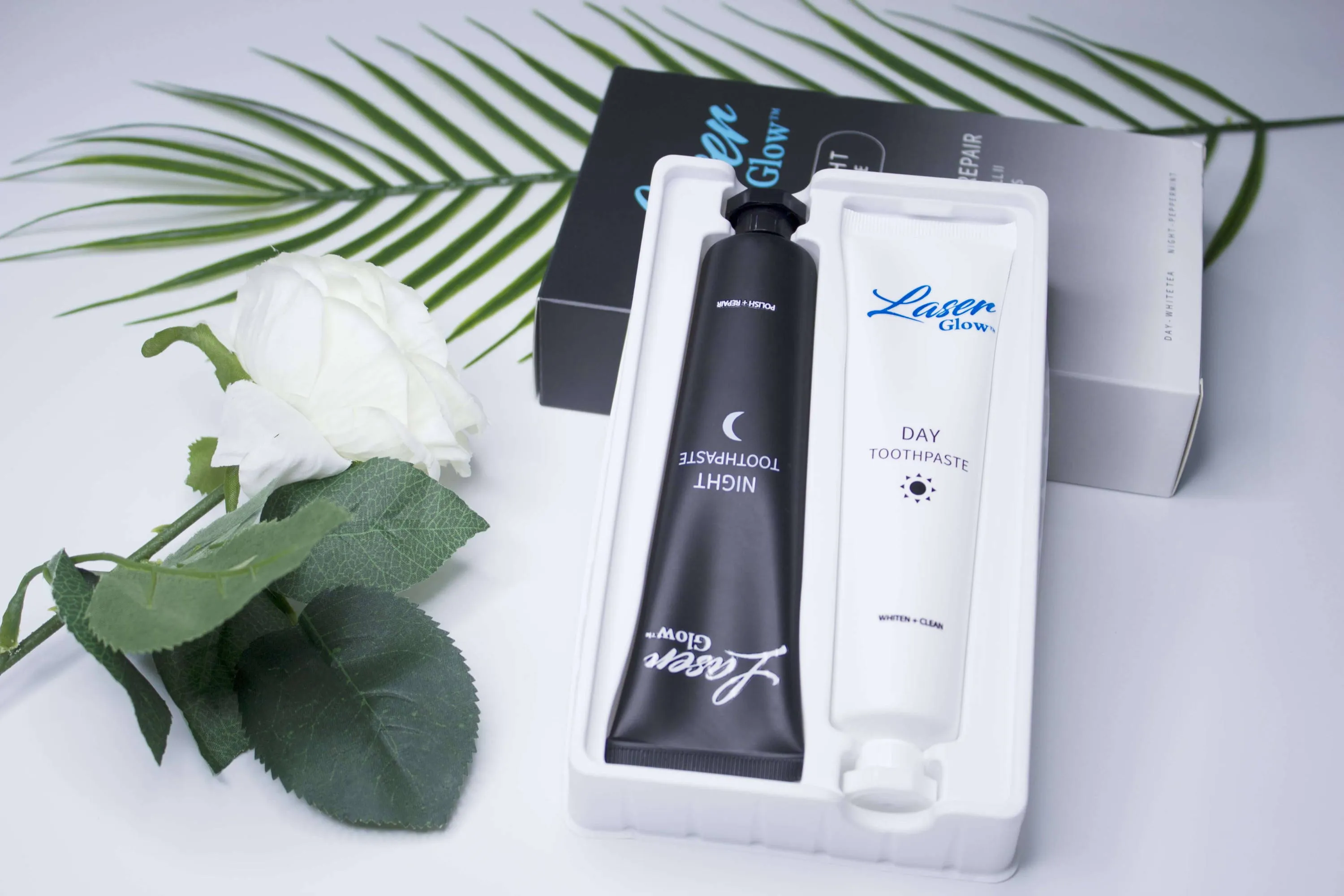 31697 natural black toothpaste overview