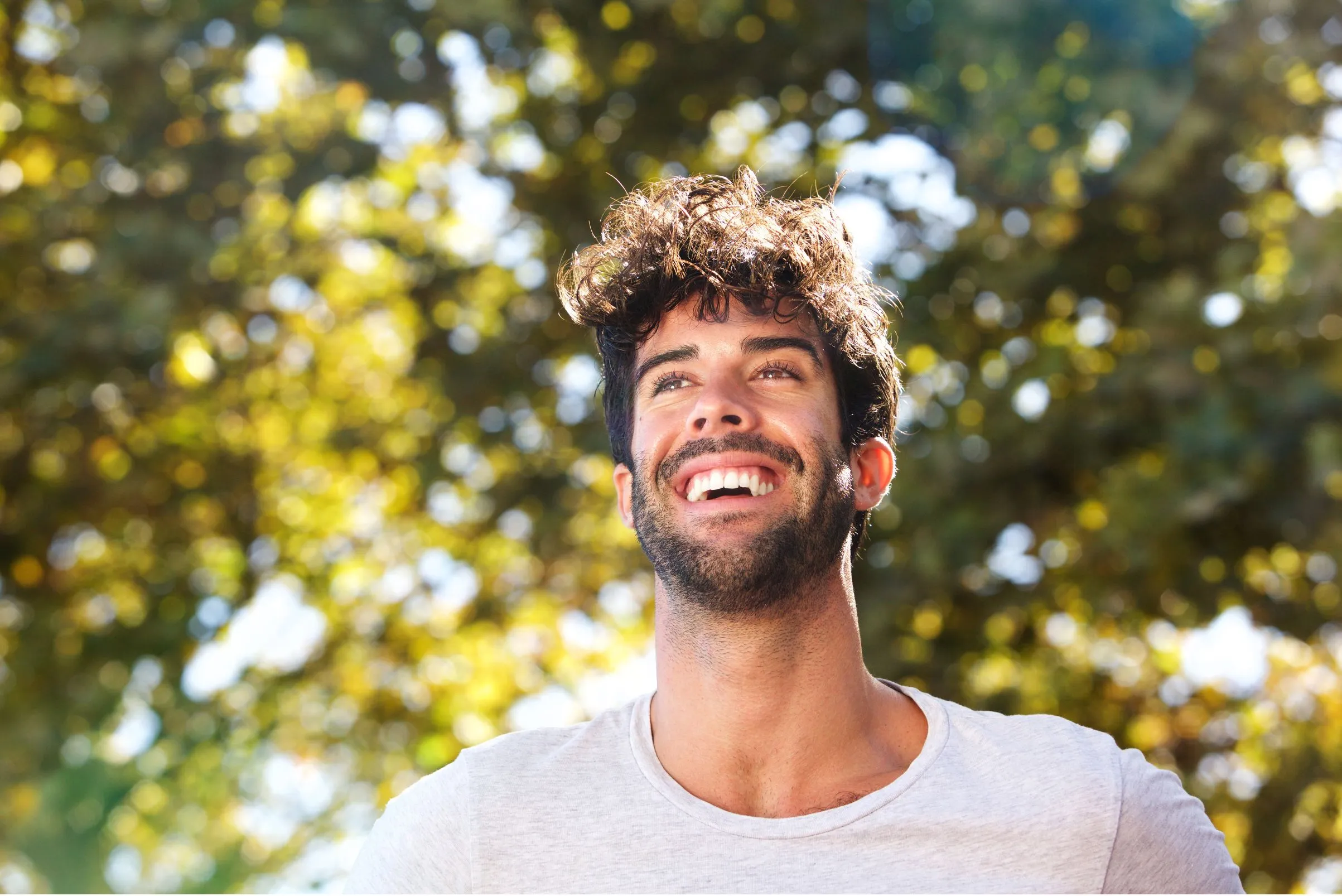 31793 opalescence application process